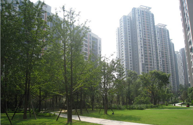 重庆龙湖观山水