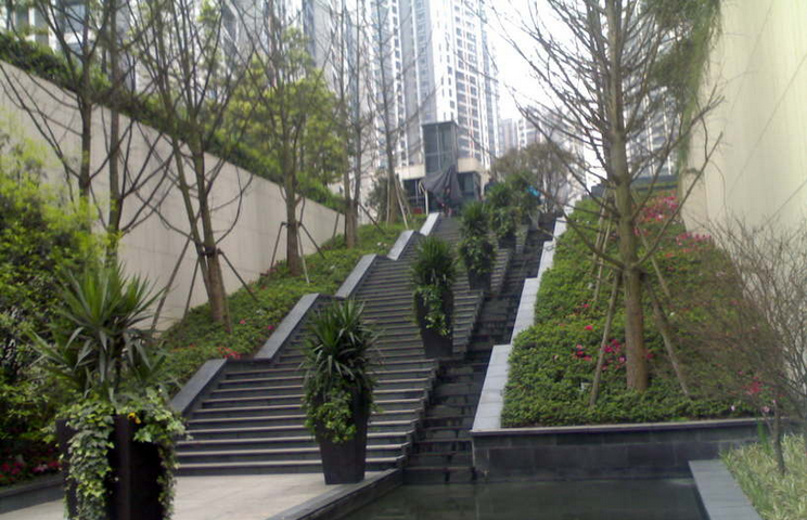 重庆龙湖观山水