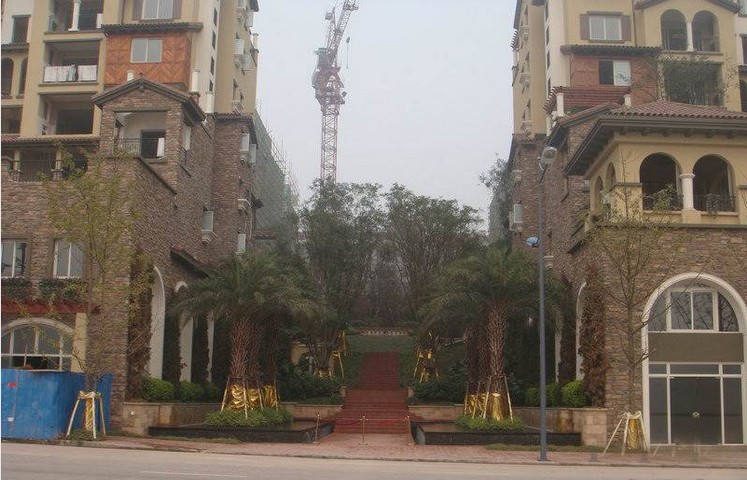 重庆龙湖花千树