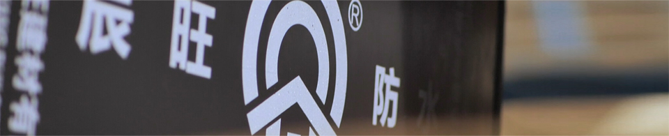 公司新闻